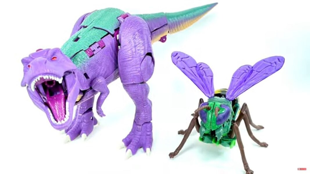 Transformers Kingdom Waspinator  (7 of 18)